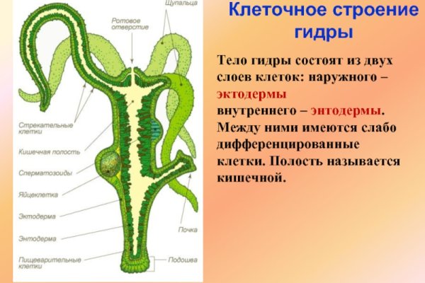 Кракен вход ссылка